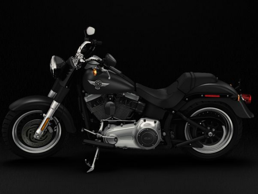 Фото мотоцикла Harley-Davidson Fat Boy Special